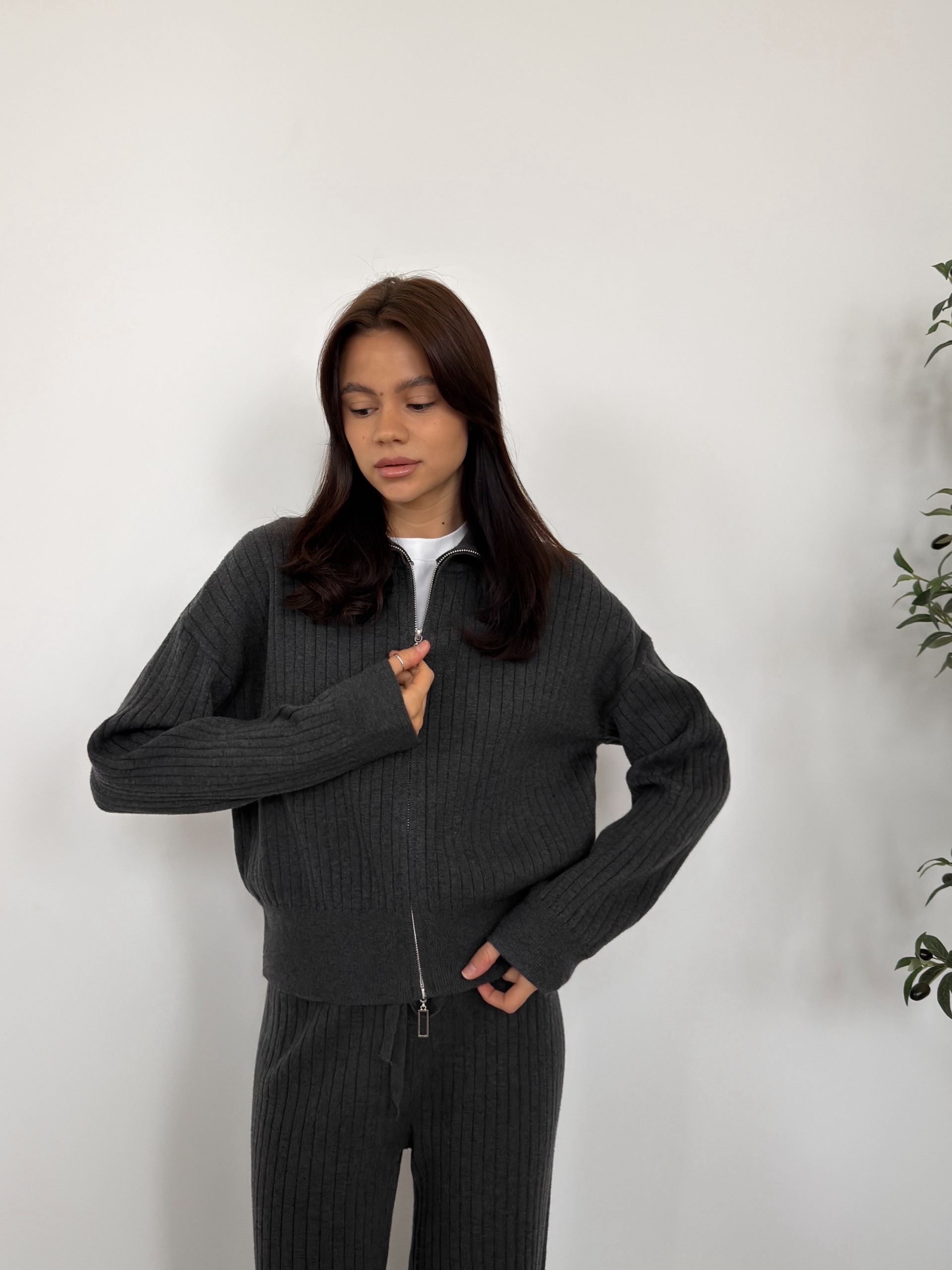 Костюм 376 джемпер на молнии+брюкт в рубчик