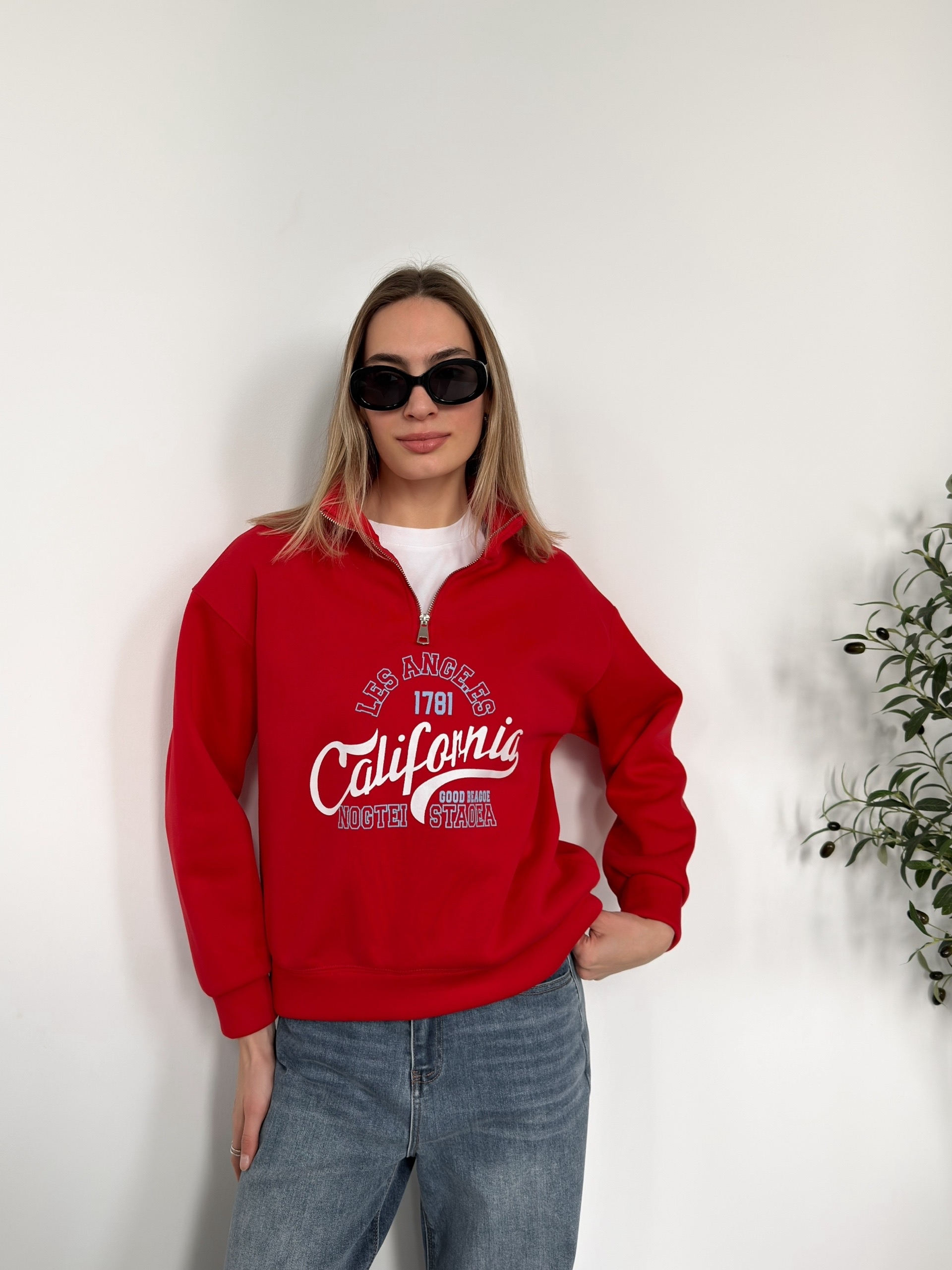 Свитшот NJ 1664 Califonia ворот на молнии флис