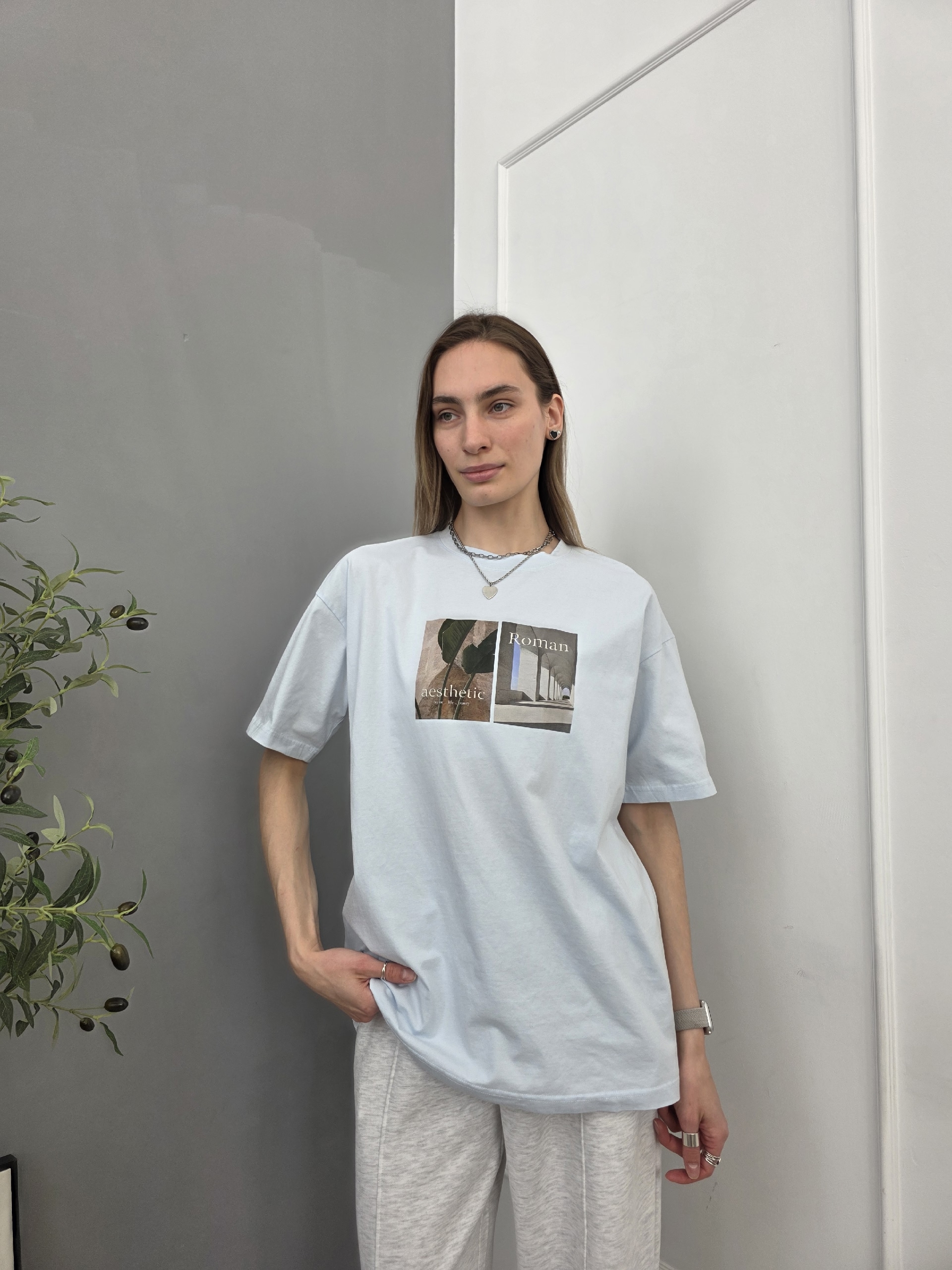 Футболка NJ 1210 Roman