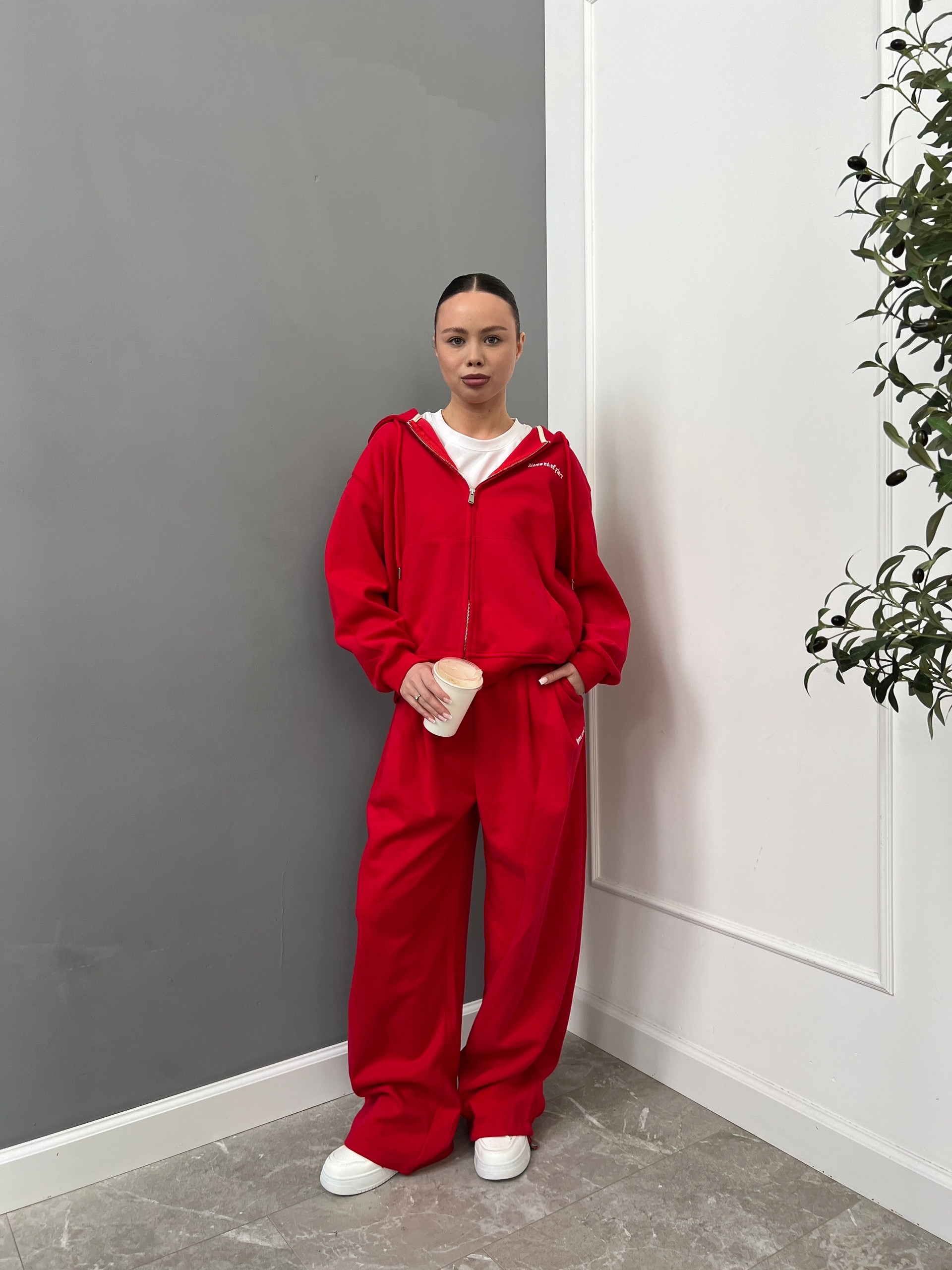 Костюм NJ 30886 Moment of glors худи+джоггеры