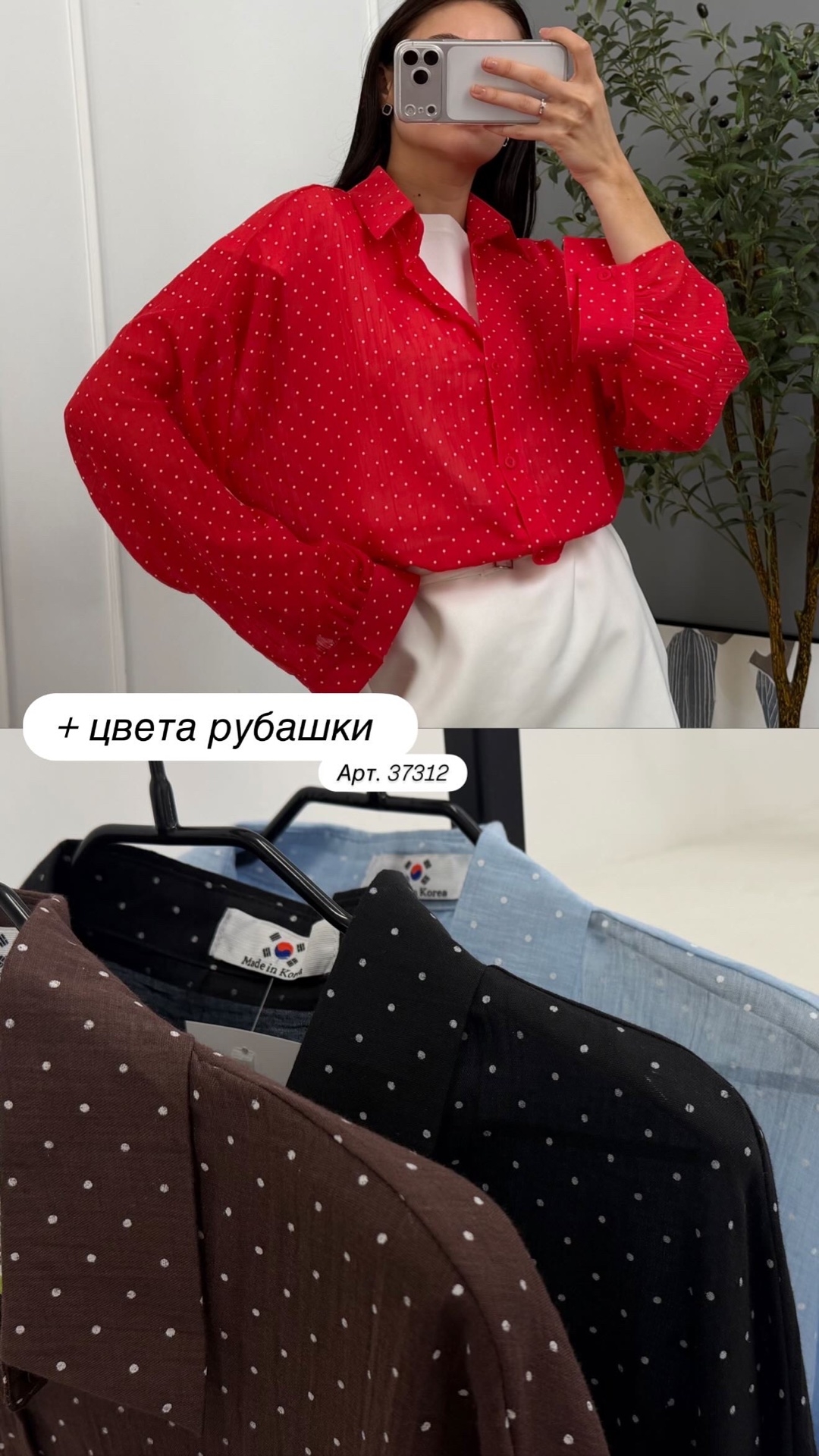 Рубашка Korea 9555 в горошек