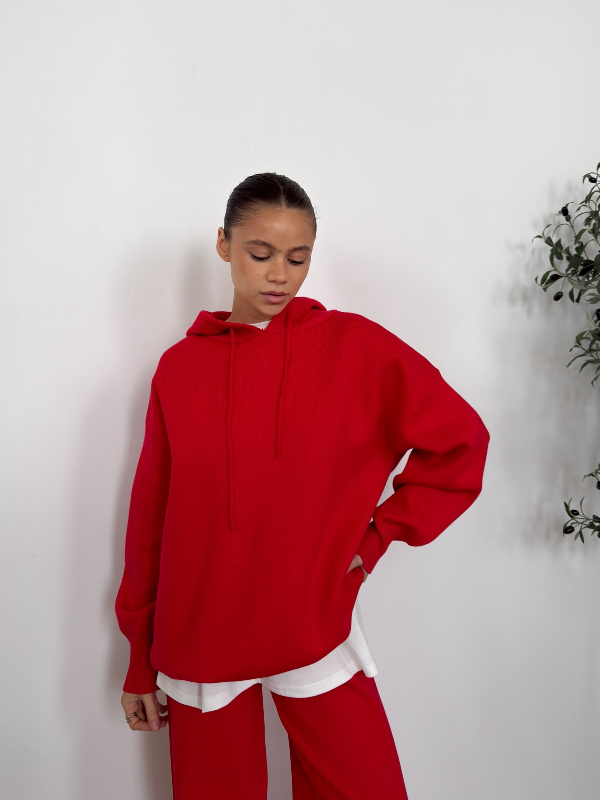 Костюм 733 кофта с капюшоном+брюки