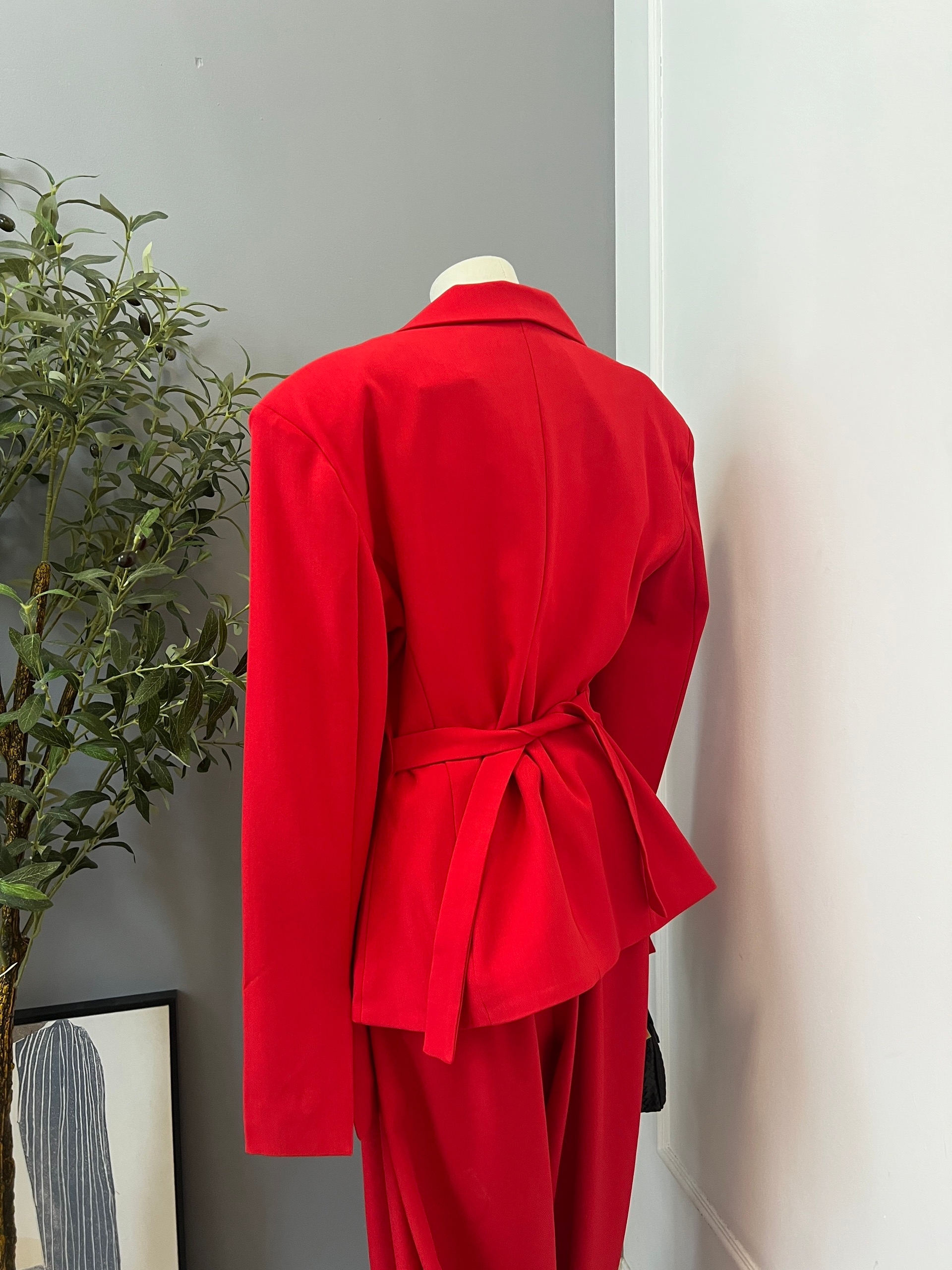 Костюм The Vibe жакет сборка+брюки